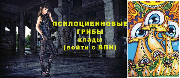 а пвп мука Алзамай