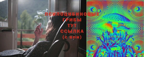 а пвп мука Алзамай